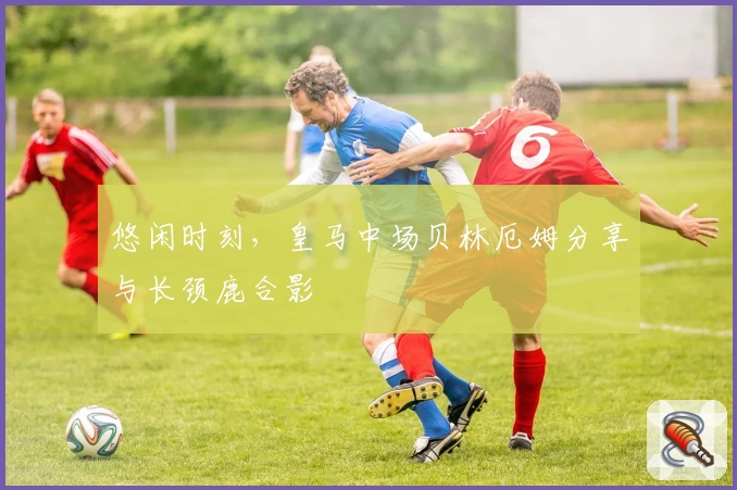 悠闲时刻，皇马中场贝林厄姆分享与长颈鹿合影