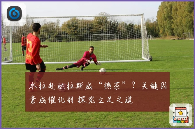 水拉赴达拉斯成“热茶”？关键因素成催化剂 探究立足之道