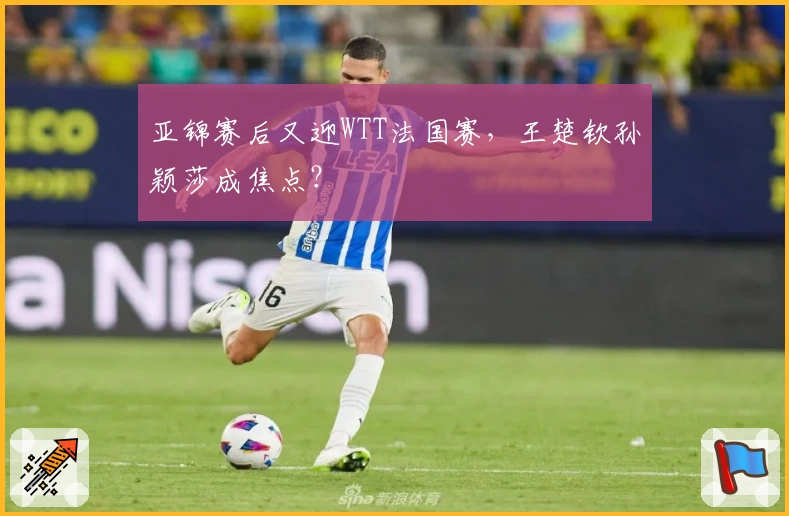 亚锦赛后又迎WTT法国赛，王楚钦孙颖莎成焦点？
