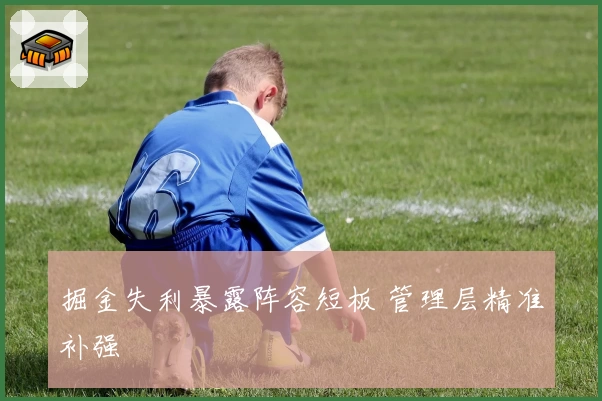 掘金失利暴露阵容短板 管理层精准补强